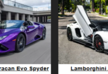 Driving Your Dream: Everything to Know About Lamborghini Rentals in Los Angeles.