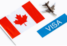 How to Navigate the Canadian E Visa Application Process and Understand Travel to Canada Requirements